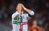 Fussball International Europameisterschaft 2012, Halbfinale: Portugal - Spanien