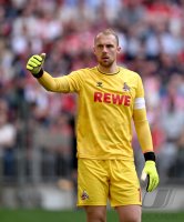 Fussball 1. Bundesliga 23/24: FC Bayern Muenchen - 1.FC Koeln