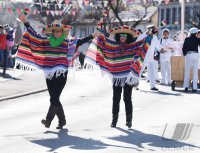 Fasnet Hirrlingen 2018; Umzug am Fasnetsdienstag