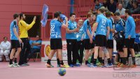 Handball 2. Bundesliga 14/15: TV Neuhausen -  TV Grosswallstadt