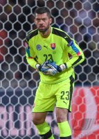Fussball International Europameisterschaft 2016: Russland - Slowakei