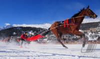 White Turf  St. Moritz 2010