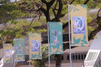 Fussball International FIFA FUTSAL WM 2008