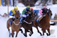 Pferdesport:  White Turf  St. Moritz 2014  Flachrennen