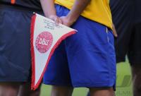 Fussball WM-Qualifikation:  Schweden - Daenemark