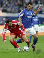 Fussball 1. BundesligaSchalke 04 1-0 FSV Mainz 05