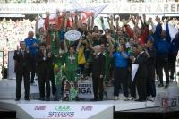 Fussball 1. Bundesliga 08/09  Meister  VfL Wolfsburg