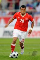 Fussball International: Vorbereitungsspiel EM 2008 Schweiz - Liechtenstein