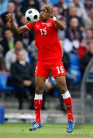 FUSSBALL EURO 2008: Schweiz, FERNANDES