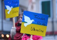 Tuebingen; Fridays for Future Friedensdemo