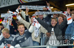 Fussball - EM-Qualifikation: Deutschland - Island, Jubelnde Fans