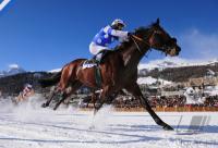 White Turf  St. Moritz 2010