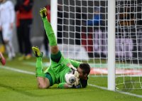 Fussball  1. Bundesliga  13/14: Torwart Koen Casteels (TSG 1899 Hoffenheim)