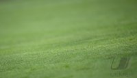 Fussball 1. Bundesliga 25/26 Testspiel
SC Freiburg - Dynamo Dresden