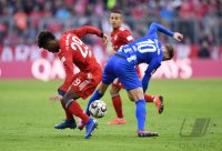Fussball 1. Bundesliga Saison 18/19: FC Bayern Muenchen - Hertha BSC Berlin