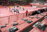 Handball 2. Bundesliga 14/15: TV Neuhausen - GSV Eintracht Baunatal