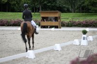 Reiten Turnier Tuebinger Reitgesellschaft