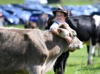 Almabtrieb - Viehscheid in Maierhoefen (Kreis Lindau) im Allgaeu
