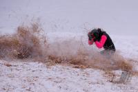 CRESTA RUN St. Moritz 2010  Brabazon Trophy  Sturz