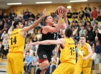 Basketball Regionalliga Suedwest 16/17