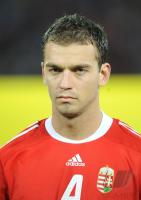 Fussball WM  2010  Qualifikation: Ungarn - Portugal