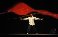 Fussball Nationalmannschaft : ADIDAS WM 2010 Trikot Vorstellung