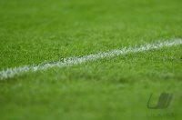 Fussball International CHL Saison 13/14: JUBEL Arjen Robben (FC Bayern Muenchen)