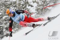 Ski Alpin; Abfahrt Training  Herren