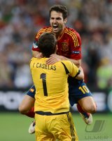 Fussball International Europameisterschaft 2012, Halbfinale: Portugal - Spanien
