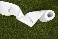 Fussball WM 2006: Togo - Schweiz