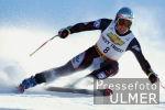 SKI   Weltcup  Abfahrt Herren ; Andreas Schifferer (AUT)