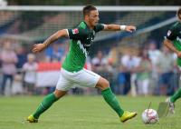Fussball 1. Bundesliga, Saison 2010/2011, SV Werder Bremen, ARNAUTOVIC Einzelaktion