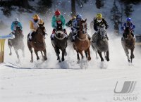 Pferdesport:  White Turf  St. Moritz 2011   Flachrennen