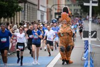 Laufen / Leichtathletik Stadtlauf / Erbelauf 2025