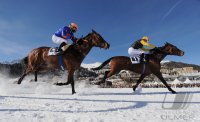 Pferdesport:  White Turf  St. Moritz 2011   Flachrennen