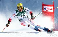 Ski Alpin  Herren Abfahrt Wengen