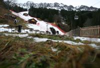 Ski Alpin  Herren Abfahrt Wengen