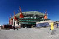 FUSSBALL WM 2010,  VORRUNDE:  Honduras - Chile