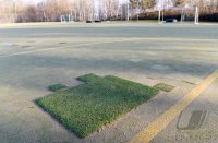 Alter Kunstrasenplatz des SSC Tuebingen