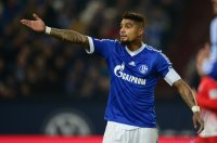 Fussball, 1. Bundesliga  Saison 2013/2014: FC Schalke 04 - SC Freiburg