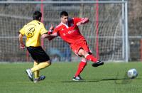 Fussball B - Junioren Bundesliga:  Bayern Muenchen - TuS Ergenzingen