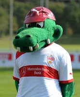 Fussball 1. Bundesliga 2012/2013:  Fototermin beim VfB Stuttgart