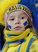 Fussball WM  2010  Qualifikation:  Daenemark - Schweden