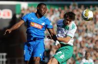 FUSSBALL 1. BUNDESLIGA: Bremen - Hoffenheim