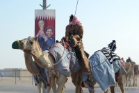 Kamelrennen Katar / FUSSBALL International Ausrichter der FIFA WM 2022: KATAR