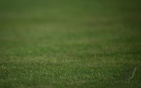 Fussball Testspiel International / 3. Liga. 25/26  
Al - Hilal SFC - SV Waldhof Mannheim
