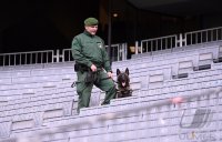 Fussball International Testspiel: Deutschland - Italien