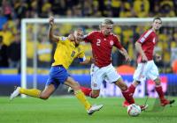 Fussball WM  2010  Qualifikation:  Daenemark - Schweden