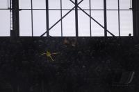 Fussball 1. Bundesliga   Bayer Leverkusen - Borussia Dortmund