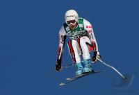 Ski Alpin  Herren Abfahrt Wengen